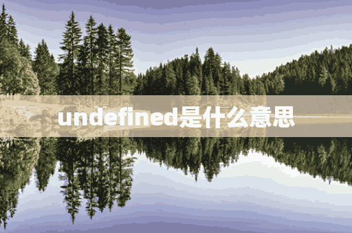 undefined是什么意思